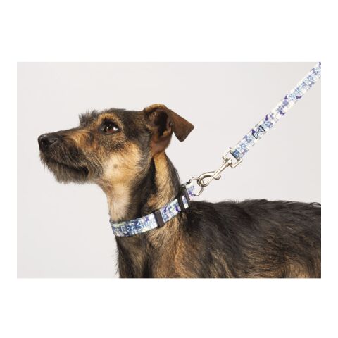 Full Color 3/4&quot; Wide Premium Pet Leash