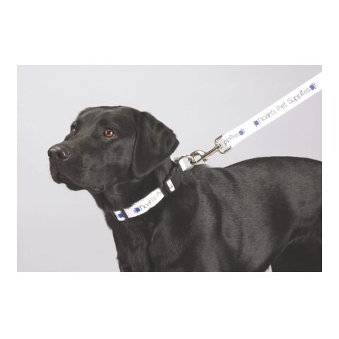 Full Color 1&quot; Wide Premium Pet Leash White | No Imprint | not available | not available