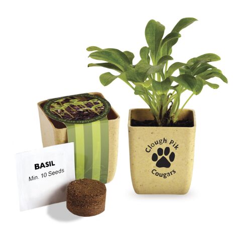 Flower Pot Set With Basil Seeds Standard | Sand Dune | No Imprint | not available | not available